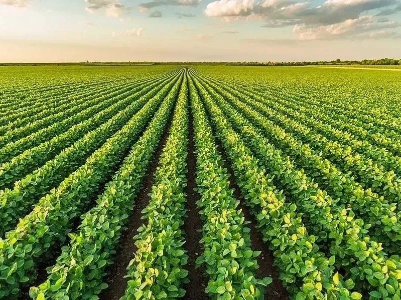 Traceability
